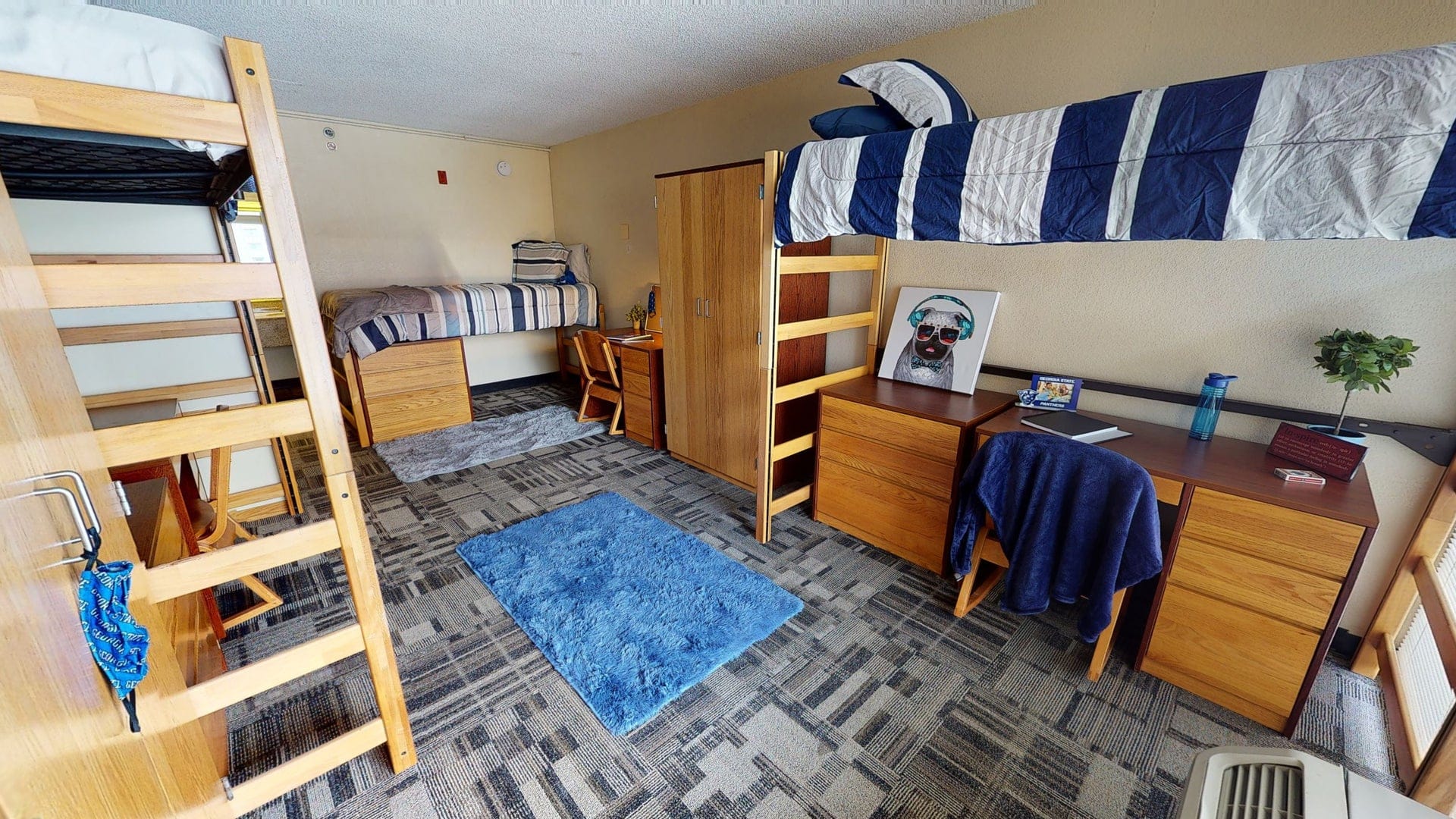 gsu dorm virtual tour